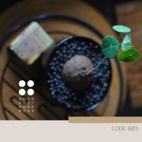 ราคา บัวบกโขด ต้นไม้สายอาร์ท B03 : บัวบกโขด พร้อมกระถางเซรามิคญี่ปุ่น (8236630289)