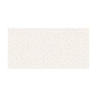 ราคา PARISCASA กระเบื้อง ALL WHITE TERRAZZO M.(126ZMS01L) 60X120 CM (28429297351)