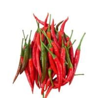 ราคา (พร้อมส่ง/สดใหม่ทุกวัน) พริกจินดาแดง พริกสด หนูแดง (8682797052)