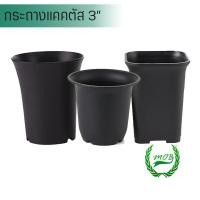 ราคา กระถางแคคตัส ปากบาน 3" ( 3นิ้ว) [ กระถาง แคคตัส กระบองเพชร ปากบาน ปากแตร ปากกระดิ่ง กระถางกระบองเพชร ] MOB Shop (5848656883)