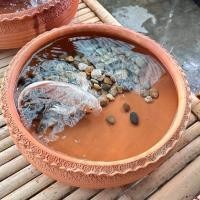 ราคา อ่าง ดินเผา กว้าง 18 นิ้ว ได้ 1 ใบ เลี้ยงปลา ทำน้ำตก น้ำพุ ตกแต่งสวน บ้าน พร้อมส่ง (20087386390)