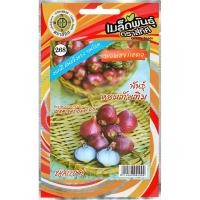 ราคา เมล็ดพันธุ์ หอมแขกแดง พันธุ์หอมทับทิม ตราสี่ทิศ (27130389706)