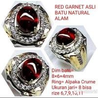 ราคา RED GARNET STONE RING หินธรรมชาติของแท้ (44076362841)