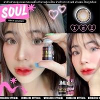 ราคา คอนแทคเลนส์ รุ่น Soul / Oh Soul มีสี Gray/Brown/Black สีเทา/ตาล/ดำ มีค่าสายตา (0.00)-(-6.50) เปลี่ยนแทนทุกเดือน (45250478899)