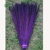 ราคา 10 รากที่สวยงามไก่ฟ้าขนนกหลากสีงานฝีมือเครื่องประดับ 30-35 ซม (47651466491)