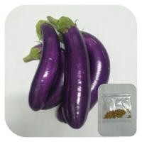 ราคา เมล็ดพันธุ์มะเขือม่วง❤50 เมล็ด❤ (13835473225)