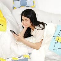 ราคา หมอนผ้าห่ม หมอนรถสองในหนึ่งเดียวหมอนอิงหมอนผ้านวมใช้คู่ขายส่งสํานักงานบ้านใช้คู่รถOTPU (56851953327)