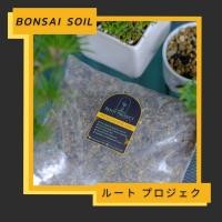 ราคา ดินปลูกบอนไซ และคตัส สำหรับ แคสนดำ สนขาว ชิมปากุ ต้นเมเปิ้ลญี่ปุ่น ฮิโนกิ แคสตัส และต้นไม้ไทย bonsai soil (5752211962)