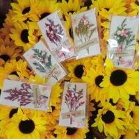 ราคา การ์ดดอกไม้แห้งของปัจฉิมนิเทศ ของปัจฉิม เม็ดโฟมคละสีขนาด5×10cm ของปัจฉิม การ์ดดอกไม้แห้ง congratulations การ์ดของขวัญ (24511120852)