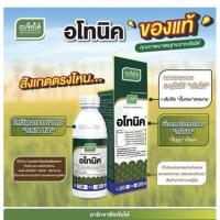 ราคา อโทนิค(เจียไต๋ 500 ซีซี) (27626463841)