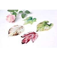 ราคา Postcard Leaf โปสการ์ดใบไม้ (571403702)