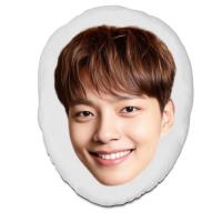 ราคา หมอนหัวไดคัท สั่งทำ ตุ๊กตา หมอนตุ๊กตา หน้าคน ดารา นักร้อง เกาหลี ยอจินกู Yeo Jin Goo (23962612047)