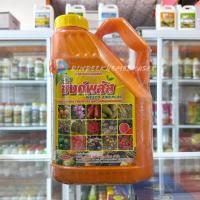 ราคา ซิงค์พลัส เวสโก้ ขนาด 4 ลิตร ธาตุอาหารสังกะสี10% แมกนีเซียม2% แมงกานิส1.2% และกรดอะมิโน วิตามินบี 1 (23020520950)