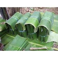 ราคา ใบตองสด (3 Kg.) ใบตองทำขนม ใบตองกล้วยน้ำว้า ใบตองทำกระทง (7704279050)