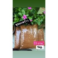 ราคา #ขุยมะพร้าวละเอียดเกรดA น.น. 1.kGพร้อมส่ง ประมาณ2.5-3ลิตร#ปักชำ#ตอนกิ่ง#เพาะเมล็ด #ผสมดินปลูกดีนัก..แล (3153721802)