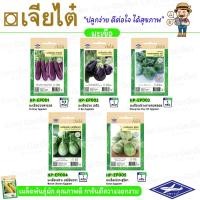 ราคา เจียไต๋ ผักซอง เมล็ดพันธุ์ผัก (ผักสายพันธุ์ลูกผสม) มะเขือม่วงพารวย มะเขือม่วง มะเขือเปราะสุริยา มะเขือเปราะมณีจันทรา (9471049821)