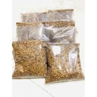 ราคา เมล็ดพะยูงไทย น้ำหนัก 1 กิโลกรัม (11545753445)