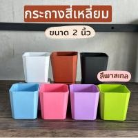 ราคา กระถางสี่เหลี่ยม 2 นิ้ว กระถางสีพาสเทล กระถาง2นิ้ว กระถางทรงสี่เหลี่ยม (40965096399)