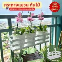 ราคา กล่องใส่กระถางต้นไม้ กระถางแขวนต้นไม้ กระถางต้นไม้ กล่องแขวนต้นไม้ กล่องรับพัสดุ Flower Pot (43207967365)