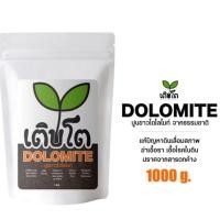 ราคา โดโลไมท์ผง ปูนขาว สารปรับปรุงดินและน้ำ ใส่ก้อนเห็ด 1000 กรัม (24684145711)