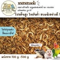 ราคา หนอนนกอบแห้ง อาหารเสริมสำหรับสัตว์ (คัดอย่างดี ไม่ปรุ่งแต่งสีและกลิ่น)(Pet)ชูการ์,หนูแฮมเตอร์,เม่นแคระ,นก (41752967879)