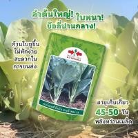 ราคา เมล็ดคะน้า บางบัวทอง35 ขนาด 1 kgตราศรแดง กระป๋อง คะน้ายอดไต้หวัน (8568684503)