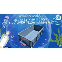 ราคา ลังพลาสติกแบบยาวทึบสีเทา อ่างวาล์วขาว ระบบover flow เลี้ยงปลา อ่างเลี้ยงปลา กะบะเลี้ยงปลา อ่างปลาบอลลูน อ่างปลาเมกาดะ (57903943242)