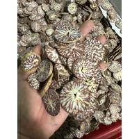 ราคา หมากแห้ง หมากพลู หมากสไลด์ หมากพม่า ตากแห้ง เกรดA (27201053903)