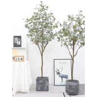 ราคา ต้นยูคาลิปตัสใบกลม Eucalyptus polyanthemos ไม้ปลอม ต้นไม้ประดิษฐ์ ของตกแต่งบ้าน (29805232975)