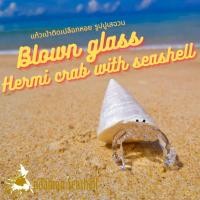 ราคา Andaman seashell แก้วเป่าติดเปลือกหอย รูปปูเสฉวน ติดเปลือกหอย 5 (16104081587)