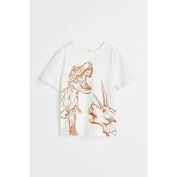 ราคา H&M(เอชแอนด์เอ็ม) เสื้อยืดพิมพ์ลาย เด็กผู้ชาย 1022670_17 (44402143028)