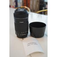 ราคา canon EF-S 55-250 IS STM (40810419007)