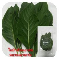ราคา ใบป่าช้าเหงา(หนานเฉาเหว่ย)ใบสด ❤ปลอดสารพิษ❤100กรัมช่วยลดน้ำตาลในเลือด (10950132921)