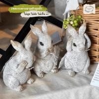 ราคา Vintage Farmhouse - ตุ๊กตาแต่งสวน ตุ๊กตาวางในสวน ตุ๊กตากระต่าย ตุ๊กตากระต่ายวัสดุเรซิ่นแต่งสวน (42367463593)