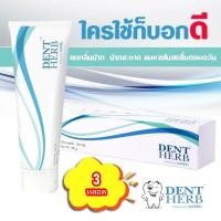 ราคา ยาสีฟันสมุนไพร เดนท์เฮิร์บ (DENT HERB Toothpaste) ยาสีฟันลดกลิ่นปาก 3 หลอด (21822944648)