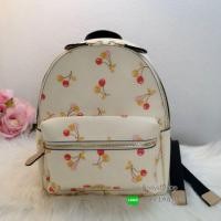 ราคา กระเป๋าเป้ COACH F31374 แท้% (1899813365)