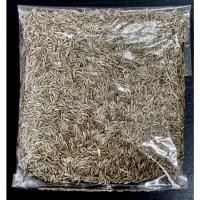 ราคา เมล็ดยี่หร่า เทียนขาว Cumin เกรด A 100กรัม-500กรัม (10161369107)