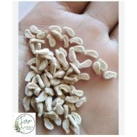 ราคา เมล็ดพันธุ์ตำลึง บรรจุ50เมล็ด (29739329786)