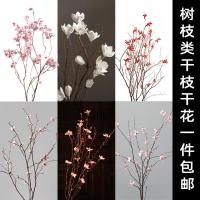 ราคา กิ่งดอกไม้แห้ง กิ่งซากุระ กิ่งพีช กิ่งไม้แห้งตกแต่ง กิ่งดอกไม้แห้งสําหรับจัดสวน กิ่งดอกไม้แห้งตกแต่งบ้าน กิ่งไม้แห้งสําหรับแจกัน กิ่งซากุระแห้ง กิ่งพีชแห้ง กิ่งดอกไม้แห้ง MZV0 (50250899606)