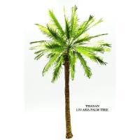 ราคา ต้นปาล์ม(มะพร้าว)จำลอง 1/35 Scale ใบสีเขียวล้วน สูง 28cm. โดยประมาณ (47301676913)
