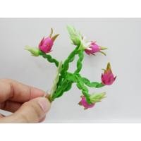 ราคา ต้นแก้วมังกรจิ๋ว ไซต์ L (ราคา/ชิ้น) สเกล 1/12 ส้ม ต้นไม้มงคล งานดินปั้น ต้นแก้วมังกร แก้วมังกรจิ๋ว ดินปั้น ไม้มงคล (43307305940)