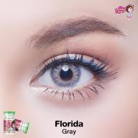 ราคา Florida gray พร้อมส่งสายตาปกติ (5315914212)
