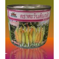 ราคา เมล็ดพันธุ์พริกกะเหรี่ยงอี-ป๊อบ ตตราะวันต้นกล้า ขนาด 20 กรัม (40361838340)