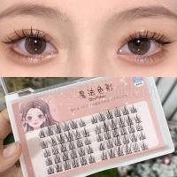 ราคา [ Featured ] ขนตาปลอม ดอกทานตะวัน ขี้เกียจ / ขนตาปลอม คลัสเตอร์เดี่ยว / ขนตาปลอม แบบหนา หยิก / ขนตาการ์ตูนบาร์บี้ / ต่อขนตา / เครื่องมือแต่งหน้า (23947671451)