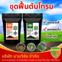 ราคา ชุดฟื้นต้นโทรม ปุ๋ยทางดิน (ปุ๋ยอินทรีย์เคมี 6-3-3 ขนาด 2 ก.ก.+ด็อกเตอร์ทรี ขนาด 2 ก.ก.) แตกยอดดี แตกยอดไว ใบดำมัน (11472624044)
