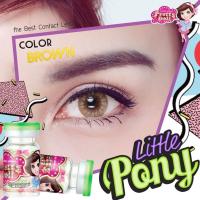 ราคา Pretty Doll Little Pony Brown คอนแทคเลนส์ ค่าสายตา แถมตลับ (19837265051)