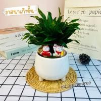 ราคา สวนถาดไม้มงคล วาสนาเก้าชั้น (24577302543)