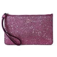 ราคา กระเป๋า COACH F33702 SMALL WRISTLET WITH STAR GLITTER PRINTT (SVNUB) กริตเตอร์คล้องมือ จาก เมกา ราคา เพียง1450บาท (2326473614)