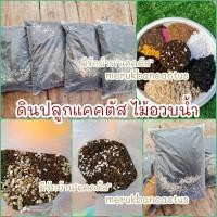 ราคา ดินปลูกแคคตัส ดินก้ามปู ดินแคคตัส ดินผสมพร้อมปลูกกระบองเพชร ดินปลูกกระบองเพชร (5066599890)