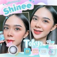 ราคา คอนแทคเลนส์ - ขนาดบิ๊กอาย Tokyo (Shinee) สี : Brown/Gray (23690093104)
